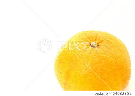 果物 甘夏みかん 果物 甘夏みかん 64632359