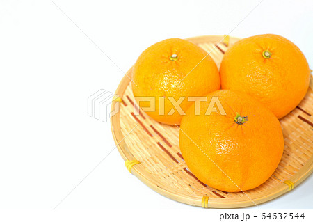果物 甘夏みかん 果物 甘夏みかん 64632544