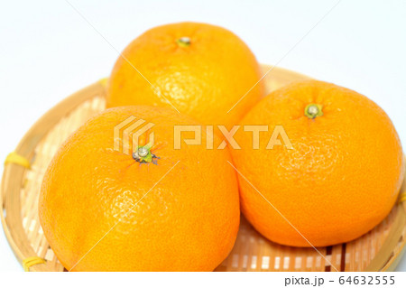果物 甘夏みかん 果物 甘夏みかん 64632555