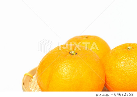 果物 甘夏みかん 果物 甘夏みかん 64632558