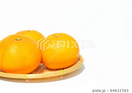 果物 甘夏みかん 果物 甘夏みかん 64632563