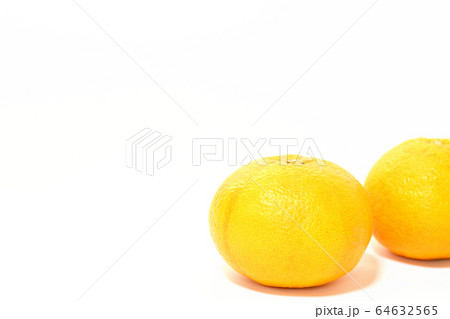 果物 甘夏みかん 果物 甘夏みかん 64632565