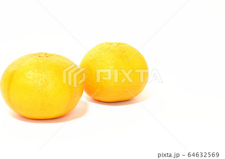 果物 甘夏みかん 果物 甘夏みかん 64632569