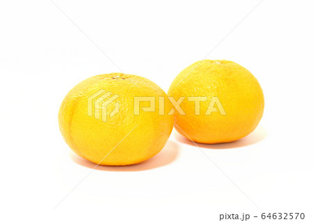 果物 甘夏みかん 果物 甘夏みかん 64632570