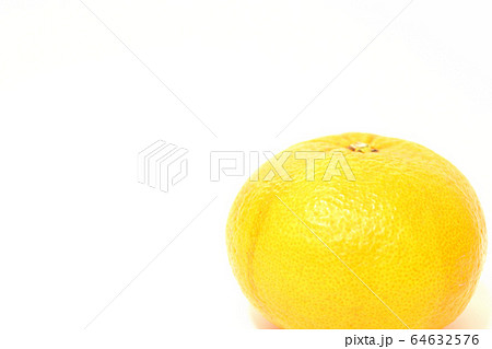 果物 甘夏みかん 果物 甘夏みかん 64632576