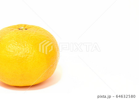 果物 甘夏みかん 果物 甘夏みかん 64632580
