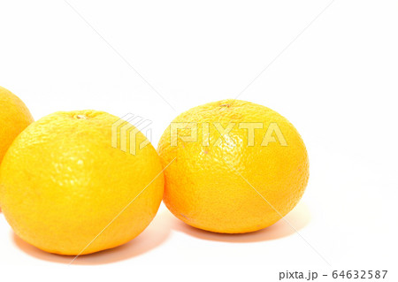 果物 甘夏みかん 果物 甘夏みかん 64632587