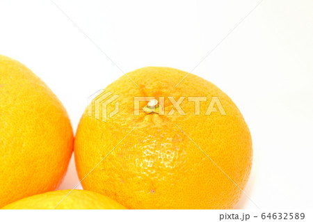 果物　甘夏みかん 64632589