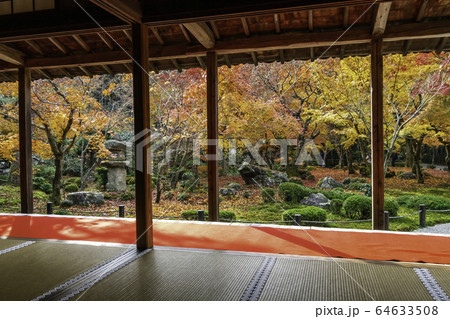 京都　圓光寺 64633508