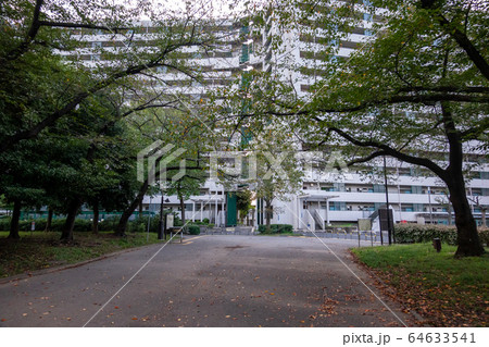 東白鬚公園 東白鬚公園 64633541