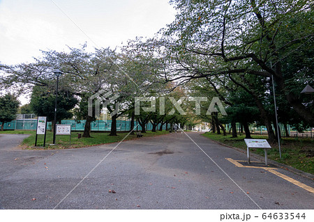 東白鬚公園 東白鬚公園 64633544