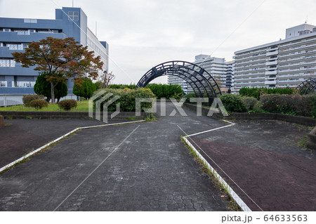 東白鬚公園 東白鬚公園 64633563