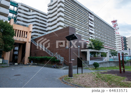 東白鬚公園 東白鬚公園 64633571