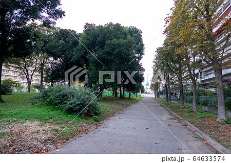 東白鬚公園 東白鬚公園 64633574