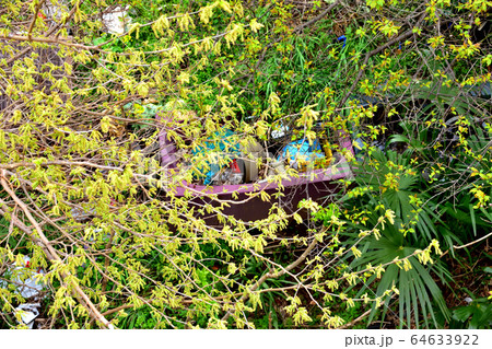 ゴミ不法投棄 64633922