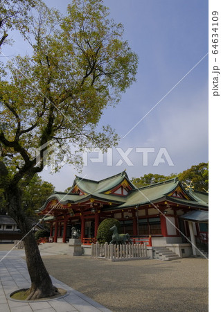 えびす神社総本山 西宮神社 えびす神社総本山 西宮神社 64634109