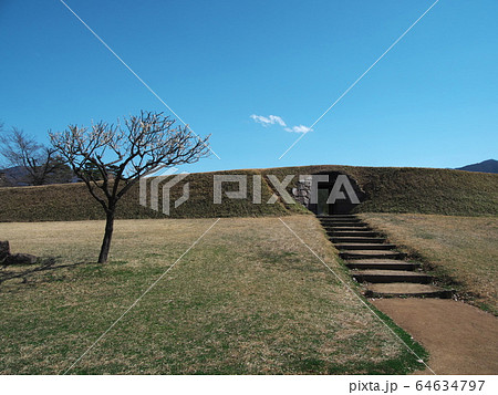 早春の海津城址公園　土塁と埋門 64634797