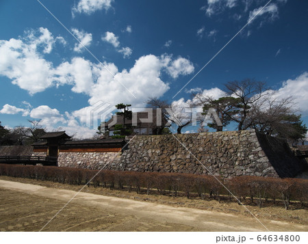 早春の海津城址公園　太鼓門と石垣 64634800