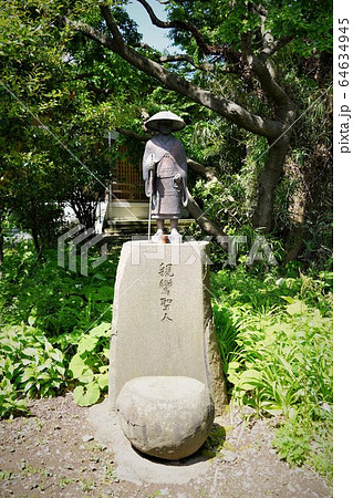 親鸞聖人銅像　居多ケ浜記念堂（親鸞聖人上陸の地） 64634945