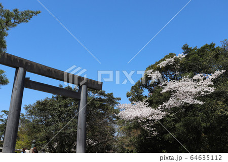 春の伊勢神宮 64635112