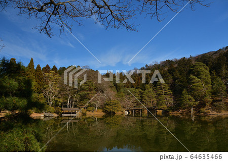 ひだまりの庭 64635466