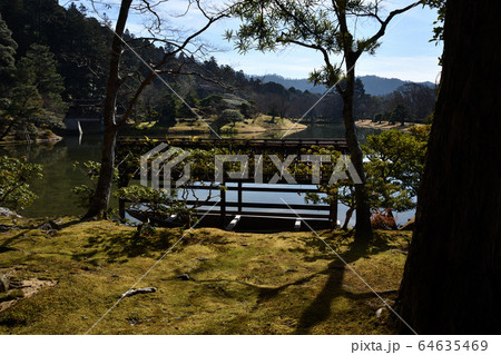 ひだまりの庭 64635469