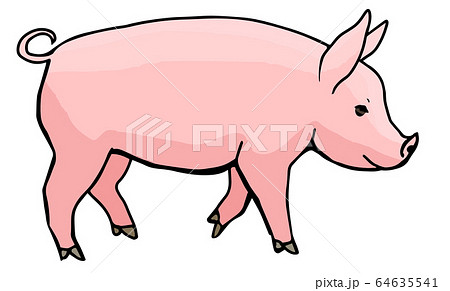 横からみた豚の全身のイラスト素材