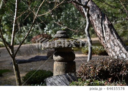 ひだまりの庭 64635576