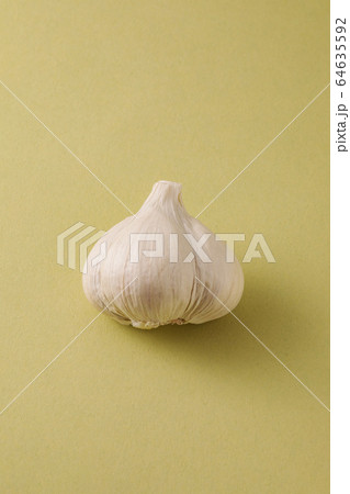 ニンニク 64635592