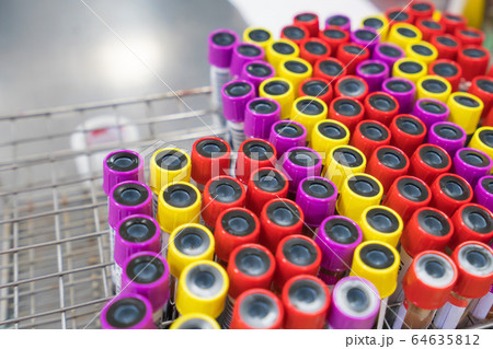 top view tube with collection blood samples for research or analyzing a virus in laboratory top view tube with collection blood samples for research or analyzing a virus in laboratory 64635812