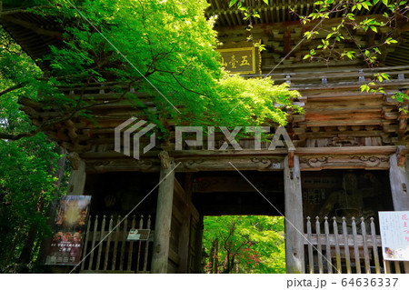 竹林寺 竹林寺 64636337