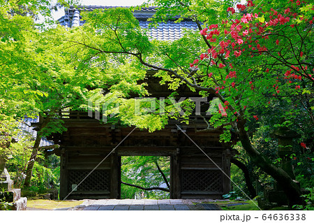 竹林寺の山門 竹林寺の山門 64636338