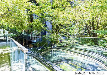 緑の多いオフィスビルのエントランス 64638507