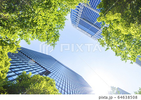 高層ビルを見上げるオフィス街の風景 64638508