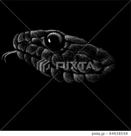 The Vector logo animal for tattoo or T-shirt print design or outwear. The Vector logo animal for tattoo or T-shirt print design or outwear. 64638549