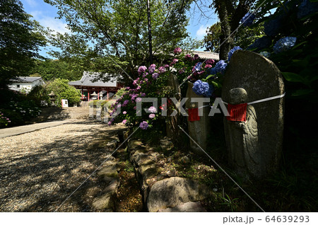 矢田寺より 64639293