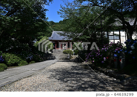 矢田寺より 矢田寺より 64639299