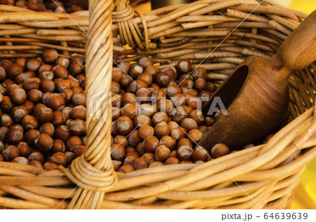 Tonda Gentile di Langa, hazelnut of Piedmont 64639639