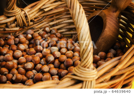 Tonda Gentile di Langa, hazelnut of Piedmont 64639640