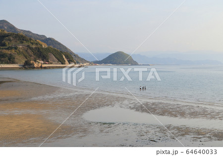 夕方、引潮の父母ヶ浜 夕方、引潮の父母ヶ浜 64640033