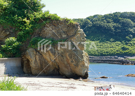 海水浴場(電信浜) 海水浴場(電信浜) 64640414