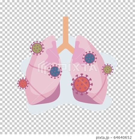 肺、ウイルス、感染、肺炎、covid-19、コロナ、イラスト、ベクター 64640652
