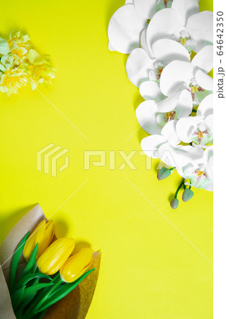 Monochrome stylish composition in yellow color. Top view, flat lay. Monochrome stylish composition in yellow color. Top view, flat lay. 64642350