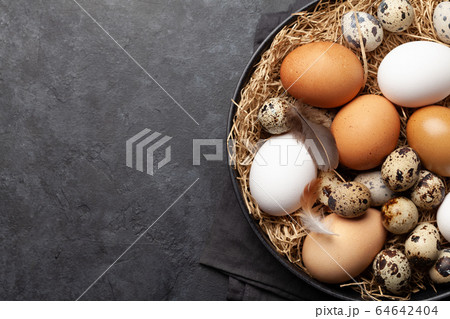 White, brown and quail eggs 64642404