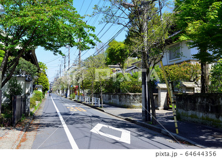 駒場東大前駅周辺の住宅街　ハナミズキの並木道 64644356