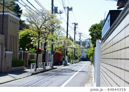 駒場東大前駅周辺の住宅街 ハナミズキの並木道 駒場東大前駅周辺の住宅街 ハナミズキの並木道 64644359