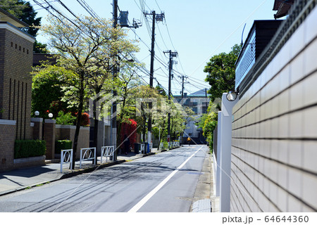 駒場東大前駅周辺の住宅街　ハナミズキの並木道 64644360