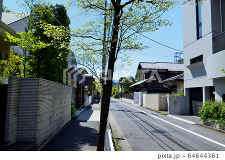 駒場東大前駅周辺の住宅街 ハナミズキの並木道 駒場東大前駅周辺の住宅街 ハナミズキの並木道 64644361