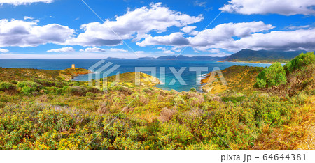 Panoramic view of Piscinni bay with turquoise sea 64644381