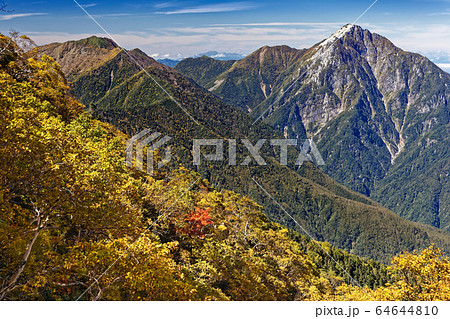 鳳凰三山・地蔵岳の賽の河原のダケカンバの黄葉と甲斐駒ヶ岳 鳳凰三山・地蔵岳の賽の河原のダケカンバの黄葉と甲斐駒ヶ岳 64644810